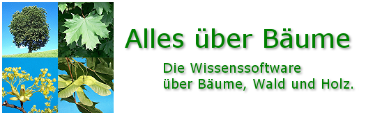 Alles ber Bume